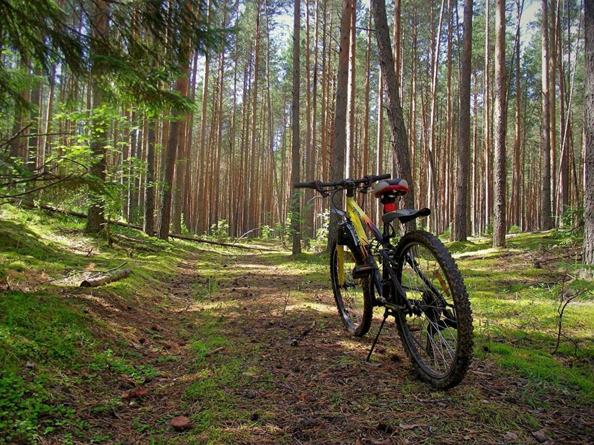 Holiday home Rajskie Slow Life Nad Jeziorem Pluski